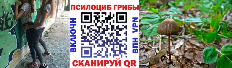 Галлюциногенные грибы Cubensis  Грозный 