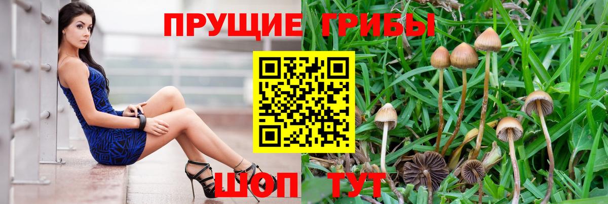 Псилоцибиновые грибы MAGIC MUSHROOMS Грозный