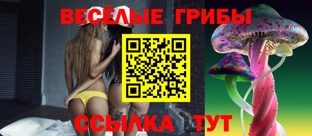 Грозный  Псилоцибиновые грибы Psilocybine cubensis  Вход с VPN 