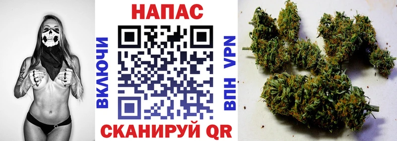 Конопля индика  купить наркотик  Грозный 